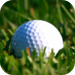 Golf Handicap Calculator - For A Golfer HCP Index